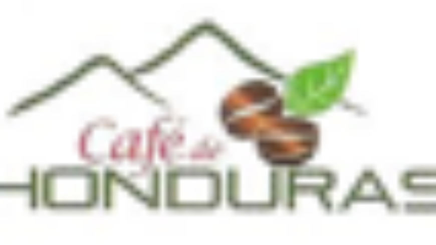 Promoción