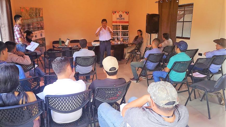 Se capacitara a 1500 productores de Café en 4 Departamentos de Honduras en manejo de paisaje