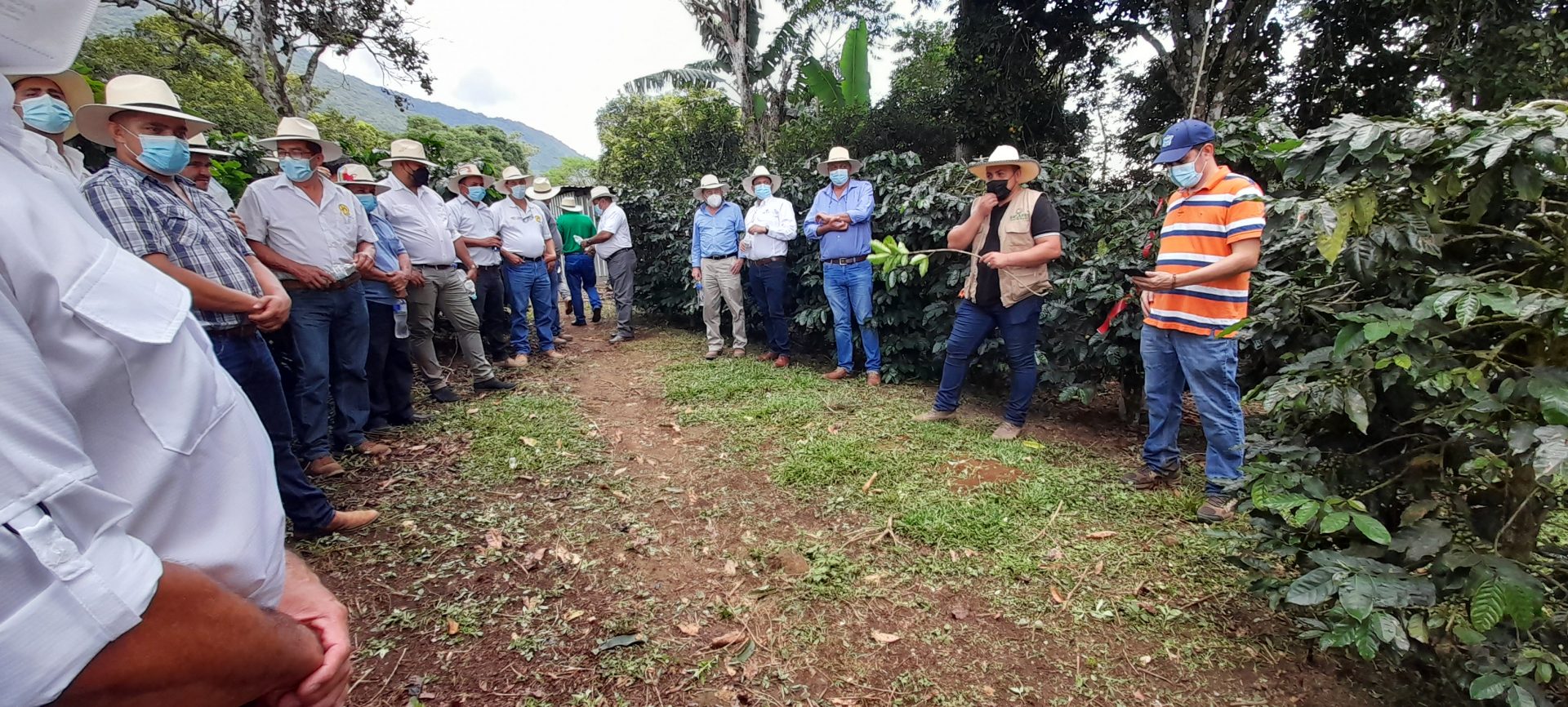 Finca Vitrina Las Delicias, productor Douglas Diaz.