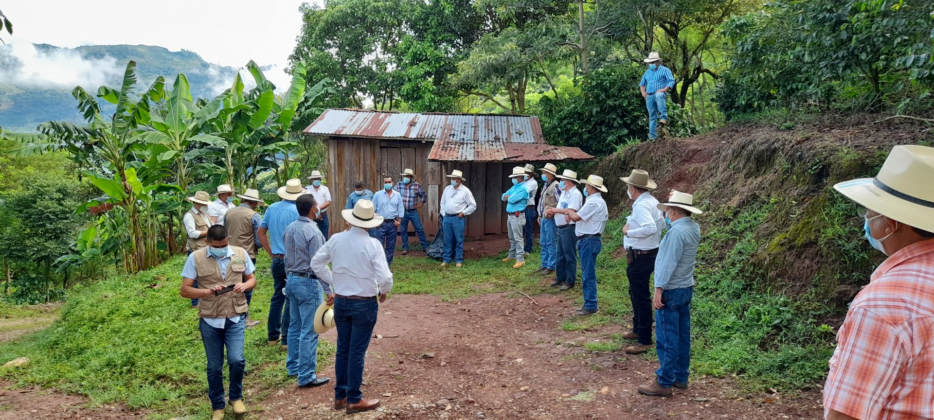 Finca Vitrina, productor Melvin Portillo, Victoria, Atima.