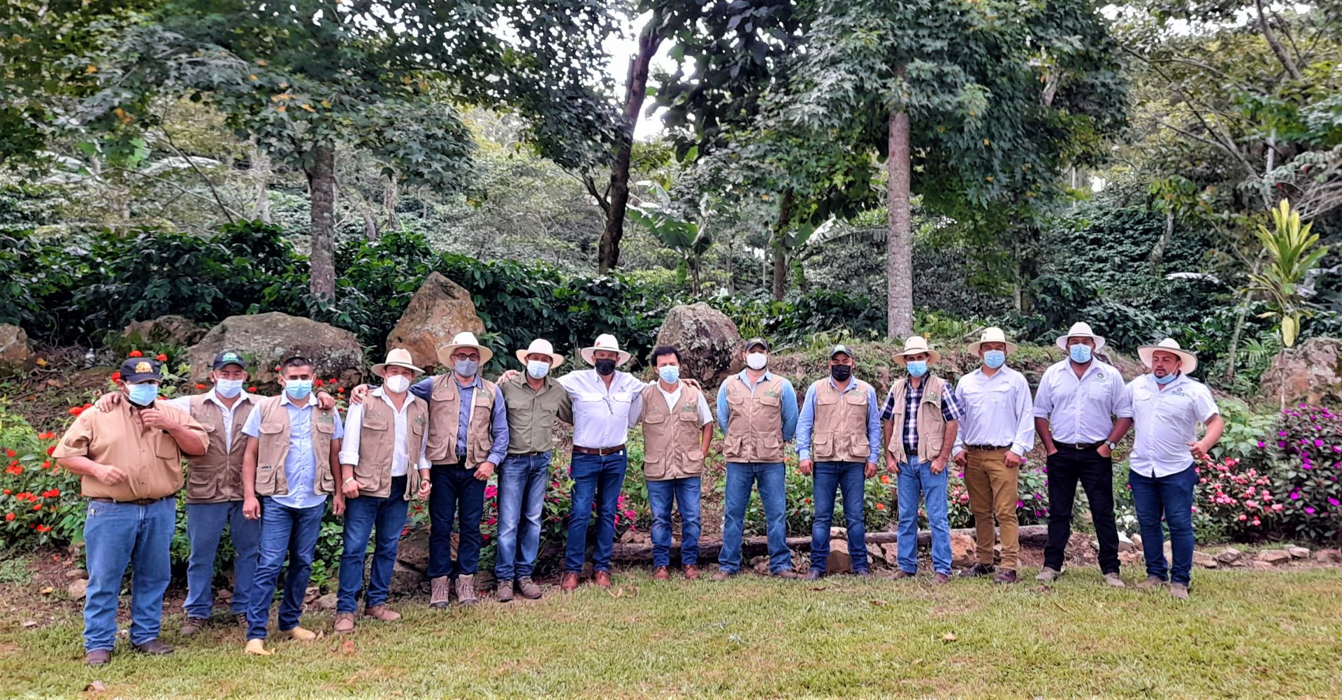 IHCAFE de la mano de la caficultura nacional con la metodología de renovar sin dejar de producir.