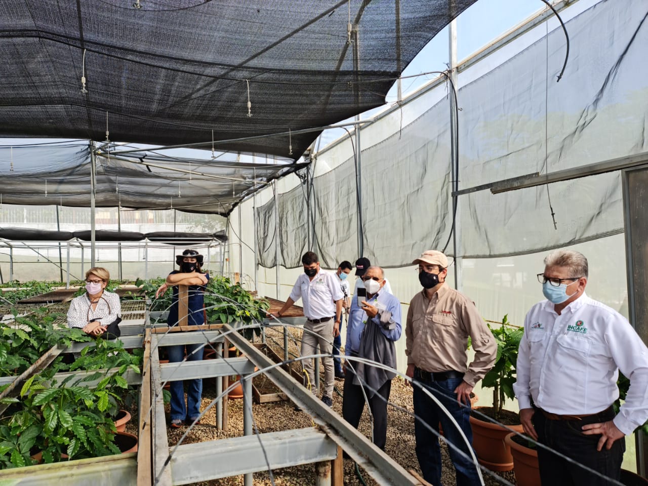 Conociendo de las Plantas Diferenciadora de Roya.