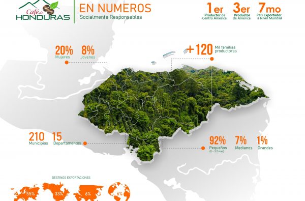 Cafe de Honduras en Numeros 1